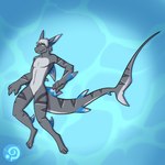 anthro fin green_eyes grey_body grey_skin hair long_tail male markings solo tail tail_markings water currypuppy bow_(bowhuskers) fish marine shark 1:1 hi_res