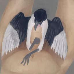 ambiguous_gender ambiguous_on_human beak beak_fetish bestiality black_body black_feathers duo feathers fellatio feral first_person_view foreskin genitals holding_penis human_on_feral human_pov humanoid_genitalia humanoid_penis interspecies male male/ambiguous male_on_feral male_pov oral penile penis realistic_feral rictal_bristles sex white_body white_feathers einin avian bird corvid eurasian_magpie holarctic_magpie human magpie_(corvid) mammal oscine passerine 2026