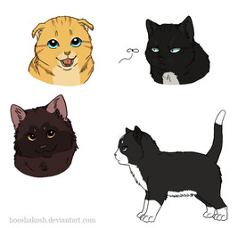 amber_eyes ambiguous_gender black_body black_fur blue_eyes brown_body brown_fur feral feralized floppy_ears fluffy folded_ears fur group simple_background stripes trio white_background yellow_body yellow_fur ouivon attack_on_titan armin_arlert hange_zoe levi_ackerman domestic_cat felid feline felis mammal scottish_fold 2013