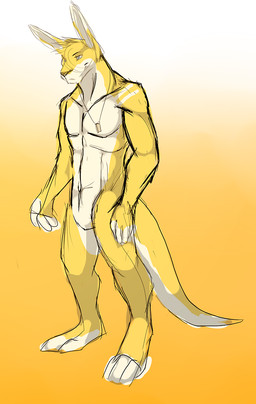 anthro closed_smile featureless_crotch fur gradient_background head_tuft jewelry male male_anthro mouth_closed narrowed_eyes necklace nude simple_background slight_smile smile solo standing tail tuft white_body white_fur white_tail yellow_body yellow_fur yellow_tail solaxe_(artist) solaxe kangaroo macropod mammal marsupial full-length_portrait portrait
