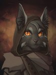 anthro black_body black_fur brown_clothing clothing fur green_background hood male simple_background solo white_body white_fur youngjinja miasma_velenosa_(miasmium) domestic_cat felid feline felis mammal bust_portrait portrait