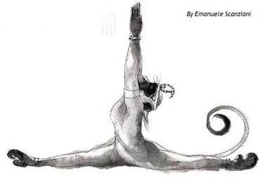 anthro butt feet flexible fur hair hindpaw male nude paws prehensile_feet simple_background solo splits spread_legs spreading toes white_background unknown_artist haplorhine mammal monkey primate low_res source_request