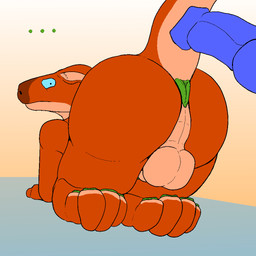 animal_genitalia anthro anus balls butt duo erection genitals inner_ear_fluff kneeling male male/male paws penis presenting sheath tail text tuft keli_kameks the_nature_of_predators onso_(the_nature_of_predators) alien capybara caviid kangaroo macropod mammal marsupial rodent yotul_(the_nature_of_predators) 1:1 digital_drawing_(artwork) digital_media_(artwork) english_text