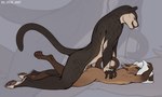 anal anal_penetration anthro attir_lycan brown_body butt dominant duo erection genitals hug hugging_object hugging_pillow male male/male male_penetrated male_penetrating male_penetrating_male markings max_felid muscular muscular_anthro muscular_male nude penetration penile penile_penetration penis penis_in_ass pillow sex simple_background size_difference smile spots spotted_body submissive hill_patre_saint burmese_cat domestic_cat felid feline felis hybrid mammal pantherine animated digital_drawing_(artwork) digital_media_(artwork) hi_res sketch