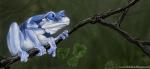 ambiguous_gender amphibian blue_eyes branch feral frog in_tree leaf plant solo text tree url ursula_vernon wood
