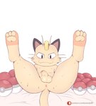 anus balls big_butt bodily_fluids butt coin cum erection fur genital_fluids genitals looking_at_viewer male nipples nude penis pokeball simple_background smile solo spread_butt spreading sweat elkomodito komodo89 nintendo pokemon team_rocket meowth_(team_rocket) generation_1_pokemon mammal meowth pokemon_(species) absurd_res hi_res