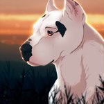 ambiguous_gender brown_eyes feral fur grass nude outside plant sky solo spots sunset white_body white_fur shyryp canid canine canis domestic_dog mammal pit_bull 1:1 absurd_res digital_media_(artwork) hi_res portrait male_(lore)