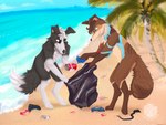 beach canid canine canis cleaning collie day domestic_dog duo earth_day helping herding_dog hi_res luckfoxo33 male mammal palm_tree pastoral_dog plant sand sea seaside sheepdog summer trash trash_bag tree water