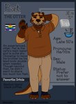 anthro beard bowl brown_body brown_fur clothing container facial_hair flag fur grey_body grey_fur hetero_pride_colors khakis lgbt_pride male newspaper polo_shirt pride_colors rainbow_pride_colors shirt solo straight_ally_colors text topwear wave lewd_latte mammal mustelid otter absurd_res english_text hi_res model_sheet