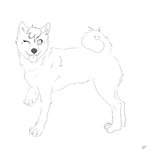 ambiguous_gender belly_fur black_nose claws fangs feet feral fluffy hair happy nails neck_tuft one_eye_closed paws raised_paw short_hair smile teeth toe_claws toenails toes tuft wink harpseal canid canine canis domestic_dog mammal shiba_inu spitz absurd_res hi_res