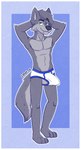 anthro big_bulge briefs briefs_only bulge clothed clothing male smile smirk solo topless underwear underwear_only syforg zach_the_wolf canid canine canis mammal wolf absurd_res hi_res
