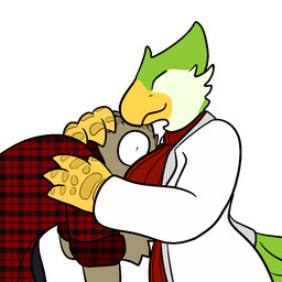 anthro beak blush breast_smother breasts clothed clothing duo feathers feet female flannel hug male non-mammal_breasts shirt simple_background smothering surprised talons toes toony topwear white_background trout_(artist) chucklefish starbound crinaia lizard_(trout) avian avian_(starbound) bird lizard reptile scalie 1:1 2016 aliasing digital_media_(artwork) flat_colors