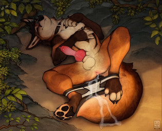 animal_genitalia animal_penis anthro anus balls black_claws black_collar black_nose black_pawpads bodily_fluids brown_body brown_fur brown_tail canine_genitalia canine_penis claws collar cum cum_in_ass cum_inside eyes_closed fur genital_fluids genitals knot knotted_penis male male_anthro pawpads penis sheath sleeping solo tail whiskers white_balls white_body white_fur anchee canid canine fox mammal hi_res