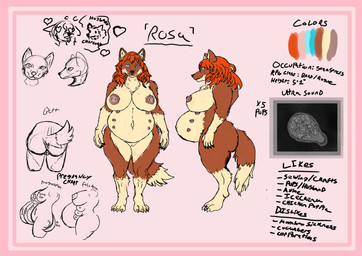 anthro belly belly_nipples big_belly big_breasts border breasts darkened_nipples digitigrade female fetus front_view fur genitals hair multi_breast multi_nipple multicolored_body multicolored_fur multiple_angles nipples pink_background pink_border pregnancy_progression pregnant red_body red_fur red_hair side_view simple_background solo tan_body tan_fur text two_tone_body two_tone_fur ultrasound vulva wavy_hair swordsfurry rosa_(swordsfurry) canid canine canis mammal wolf absurd_res english_text hi_res model_sheet