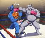 anthro beaten black_eye_(injury) blood bodily_fluids boxing boxing_gloves bruised clothing crowd cum degradation duo_focus fight fighting_ring genital_fluids genitals group handwear humiliation male male/male match penis punch slightly_chubby sport juniorjosi issac_(penguinwolf) neptune_mereaux avian bird bluebird common_hippopotamus eastern_bluebird hippopotamid mammal oscine passerine thrush_(bird)