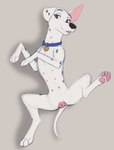 anatomically_correct anatomically_correct_genitalia anatomically_correct_pussy animal_genitalia animal_pussy canine_genitalia canine_pussy collar feet female feral floppy_ears genitals lying multi_nipple nipples on_back pawpads pussy solo averyfondoreo 101_dalmatians disney perdita canid canine canis dalmatian domestic_dog mammal hi_res sketch