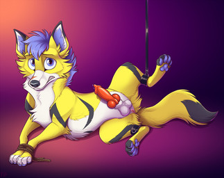 animal_genitalia animal_penis ankle_cuffs anus balls blue_eyes blue_hair blue_pawpads bodily_fluids bound brown_rope canine_genitalia canine_penis cheek_tuft claws cuff_(restraint) erection facial_tuft feral fur genital_fluids genitals grey_markings hair inner_ear_fluff knot knotted_penis looking_at_viewer male markings pawpads penis precum restraints rope sheath short_hair snout solo spread_legs spreading tail teeth tuft white_body white_fur yellow_body yellow_fur mimi-fox canid canine mammal colored digital_drawing_(artwork) digital_media_(artwork) shaded