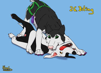 anatomically_correct animal_genitalia animal_vulva bite black_body black_fur black_nose canine_genitalia canine_vulva claws colored_nails duo female female/female female_feral feral floppy_ears fur genitals green_eyes leg_in_air long_fur lying multi_nipple nails neck_bite nipples on_back one_eye_closed open_mouth orange_eyes painted_claws paws pink_nose pink_vulva playful purple_claws short_fur spread_legs spreading standing strapon teats teeth tongue tongue_out vulva white_body white_fur kinaj kinktober kinktober_2024 jess_(kinaj) shelby_(sketchy_shelby) bird_dog canid canine canis dalmatian domestic_dog hunting_dog husky labrador mammal mixed_breed nordic_sled_dog retriever spitz 2024 hi_res