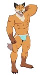 abs anthro biceps big_muscles bulge claws clothed clothing fur hand_behind_head jockstrap jockstrap_only male muscular muscular_anthro muscular_male open_mouth pecs plantigrade simple_background solo standing topless topless_anthro topless_male tuft underwear underwear_only white_background jrjresq epic_games fortnite fennix_(fortnite) canid canine fox mammal red_fox true_fox 2024 hi_res