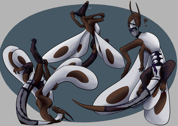 anus arched_back breasts clothing feral genitals gynomorph insect_wings intersex lepidopteran_wings lingerie lingerie_on_feral multi_breast multi_eye multi_limb penis presenting ridged_penis slit_penis solo wings tomskeleton mythology kalra dragon mythological_creature mythological_scalie scalie absurd_res hi_res