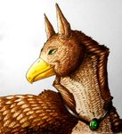 feral male solo unknown_artist mythology gabrielgryphon_(character) avian bird gryphon mythological_avian mythological_creature hi_res