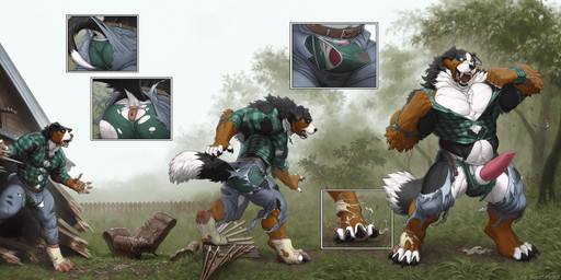 animal_genitalia anthro anus balls big_balls big_butt big_penis black_body black_fur blue_eyes bottomwear bulge butt claws clothing denim denim_bottomwear denim_clothing digitigrade erection expansion fangs floppy_ears footwear fur genital_expansion genital_growth genitals glowing glowing_eyes growth jeans male multi_frame_sequence muscle_growth muscular muscular_anthro muscular_male pants penis penis_expansion sharp_teeth sheath shirt socks solo tail tail_growth tail_tenting teeth toe_claws topwear torn_clothing torn_footwear torn_shirt torn_socks torn_topwear torn_underwear transformation transformation_sequence underwear monstrovod lucas_(lucasreturns) bernese_mountain_dog canid canine canis domestic_dog mammal molosser mountain_dog swiss_mountain_dog werecanid werecanine werecreature weredog hi_res