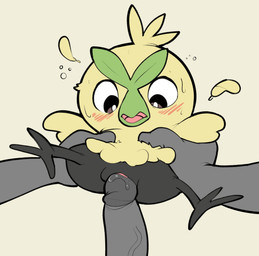 3_toes animal_genitalia beak bestiality black_body black_eyes black_feathers blush blush_lines bodily_fluids cloaca disembodied_hand disembodied_penis duo erection feathers feet female female_feral female_focus female_penetrated feral feral_focus feral_penetrated fingers first_person_view fleshlight_position foreskin genital_fluids genitals glans green_beak green_body green_feathers grey_body grey_glans grey_penis human_on_feral human_penetrating human_penetrating_feral humanoid_genitalia humanoid_penis interspecies larger_male leaf looking_down loose_feather male male/female male_penetrating male_penetrating_female male_pov multicolored_body multicolored_feathers open_beak open_mouth penetration penile penile_penetration penis penis_in_vagina pink_tongue pokephilia pupils retracted_foreskin sex shallow_penetration simple_background size_difference smaller_female smaller_penetrated solo_focus sweat sweaty_face tan_background toes tongue vaginal vaginal_fluids vaginal_fluids_on_penis vaginal_penetration vulva itsunknownanon nintendo pokemon pokemon_winds_and_waves avian bird browt generation_10_pokemon human mammal pokemon_(species) 2026 hi_res