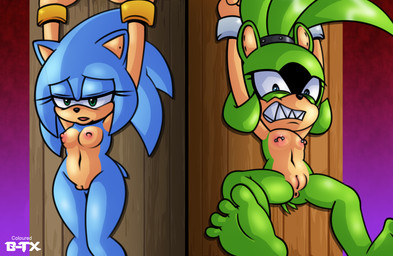 anthro anus areola arms_above_head arms_tied barbell_piercing barefoot blue_body blue_eyes bound breasts butt captured crossgender duo eyelashes feet female flat_chested genitals green_body green_eyes green_hair hair long_eyelashes mtf_crossgender navel nipple_piercing nipples open_mouth piercing soles submissive submissive_anthro submissive_female tan_body vulva bladetigerx hyoumaru idw_publishing sega sonic_the_hedgehog_(comics) sonic_the_hedgehog_(idw) sonic_the_hedgehog_(series) sonic_the_hedgehog surge_the_tenrec afrosoricid eulipotyphlan hedgehog mammal tenrec 2024 artist_collaboration hi_res