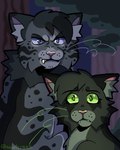 black_body black_fur blue_eyes blue_sclera blue_whiskers detailed_background duo fangs female feral fur green_eyes green_sclera green_whiskers grey_body grey_fur male pink_nose plant sneer teeth tree whiskers newtcreek warriors_(book_series) warriors_(series) ashfur_(thunderclan) hollyleaf_(warriors) domestic_cat felid feline felis mammal 2023 4:5 absurd_res cel_shading digital_drawing_(artwork) digital_media_(artwork) hi_res shaded