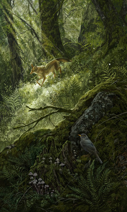 4_toes ambiguous_gender back_markings beak beak_closed bent_arm bent_leg biped black_eyes black_nose branch brown_arms brown_back brown_body brown_ears brown_face brown_fur brown_head brown_legs brown_markings brown_neck brown_snout brown_tail butt butt_tuft countershade_arms countershade_tail countershading day detailed_background digitigrade duo dust ear_scar ears_up eyebrows facial_markings feathered_wings feathers feet feral forest fungus fur glistening glistening_arms glistening_back glistening_body glistening_chest glistening_ears glistening_head glistening_legs glistening_nose glistening_snout glistening_tail gloves_(marking) grass grey_back grey_body grey_ears grey_eyebrows grey_face grey_feathers grey_fur grey_head grey_legs grey_markings grey_neck grey_tail grey_talons grey_wings head_markings hill inner_ear_fluff leg_markings light light_beam log looking_forward markings moss mouth_closed multicolored_back multicolored_ears multicolored_face multicolored_head multicolored_legs multicolored_neck multicolored_tail mushroom narrowed_eyes nature no_sclera outside plant pointy_ears pollen pupils quadruped realistic_feral scar shadow socks_(marking) standing stick sunbeam sunlight tail talons tan_arms tan_back tan_body tan_butt tan_chest tan_countershading tan_face tan_fur tan_head tan_inner_ear_fluff tan_legs tan_neck tan_paws tan_snout tan_tail tan_tuft toes tree tree_stump tuft two_tone_ears two_tone_snout walking whiskers white_mushroom wings wood yellow_beak yellow_eyes yellow_legs geosaiko1267 avian bird canid canine canis coyote fox hybrid mammal wolf 2026 absurd_res detailed digital_media_(artwork) hi_res shaded
