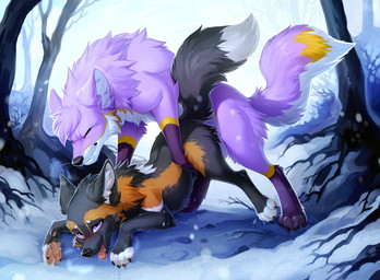 all_fours barely_visible_genitalia barely_visible_penis big_tail black_body black_fur clenched_teeth deep_penetration detailed_background doggystyle duo eyes_closed female female_penetrated feral feral_on_feral feral_penetrated feral_penetrating feral_penetrating_feral fluffy fluffy_tail forest from_behind_position fur genitals looking_pleasured male male/female male_penetrating male_penetrating_female multicolored_body multicolored_fur open_mouth orange_body orange_fur outside penetration penile penile_penetration penis penis_in_vagina plant purple_body purple_eyes purple_fur sex snow tail teeth tongue tongue_out tree vaginal vaginal_penetration hioshiru june_(ambler) wesley_(suave_senpai) canid canine canis domestic_dog fox husky mammal nordic_sled_dog spitz 2019 absurd_res hi_res