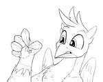 5_fingers angry beak carrying_another chest_tuft cross-popping_vein duo extreme_size_difference eyebrows feathers feral fingers male micro raised_eyebrows simple_background size_difference tuft white_background wings tsitra360 friendship_is_magic hasbro my_little_pony mythology gallus_(mlp) avian earth_pony equid equine gryphon horse mammal mythological_avian mythological_creature pony black_and_white greyscale hi_res monochrome