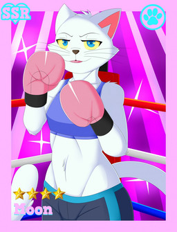 anthro boxing boxing_gloves clothing female fighting_ring handwear solo sport mlpboxing domestic_cat felid feline felis mammal hi_res