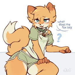anthro bell bell_collar blush bottomwear clothing collar dialogue ear_piercing ear_ring femboy male piercing ring_piercing shirt shorts simple_background sitting solo text topwear white_background s0kz0 canid canine fox mammal 1:1 english_text hi_res