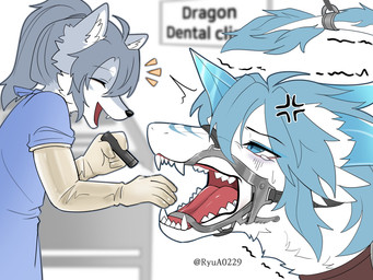 anthro biped bound clothing cross-popping_vein dental_gag dentist duo female flashlight fur gag gloves handwear male tail tail_tied ryua0229 mythology canid canine canis dragon furred_dragon furred_scalie mammal mythological_creature mythological_scalie scalie wolf 4:3 hi_res