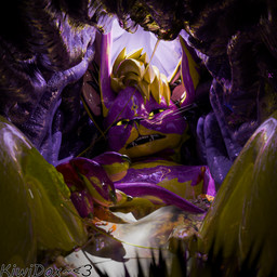 bodily_fluids chyme digestion inside_stomach looking_at_viewer stomach_acid unseen_pred vore kiwidox teom99 canid canine fox mammal rexouium 1:1 3d_(artwork) digital_media_(artwork) hi_res tagme