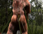 5_fingers abs against_natural_surface against_surface against_tree anal anal_penetration animal_genitalia anthro anthro_dominating_anthro anthro_on_anthro anthro_on_bottom anthro_on_top anthro_penetrated anthro_penetrating anthro_penetrating_anthro anus backsack ball_slap balls balls_deep biceps big_penis body_part_in_ass bouncing_balls bouncing_butt bouncing_penis brown_balls brown_butt brown_genitals brown_sheath butt claws dominant dominant_anthro dominant_male duo erection fingers forest genitals grass male male/male male_anthro male_dominating_male male_on_bottom male_on_top male_penetrated male_penetrating male_penetrating_male muscular muscular_anthro muscular_male nude nude_male on_bottom on_top open_mouth outside outside_sex penetration penile penile_penetration penis penis_in_ass pink_penis plant retracted_sheath sex sharp_teeth sheath slap standing standing_sex submissive submissive_anthro submissive_male tall_grass teeth text thrusting tree tailsup4tyranno patreon bear brown_bear grizzly_bear mammal ursine 2019 3d_(artwork) 3d_animation 5:4 animated digital_media_(artwork) english_text no_sound short_playtime signature url webm