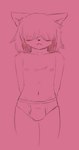 anthro bangs blush bulge clothed clothing femboy fluffy hair hair_over_eyes male nipples partially_clothed solo underwear insate felid feline mammal hi_res