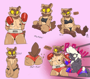 anthro apology bodily_fluids bouncing_breasts boxing boxing_gloves breasts bruised bruised_eye butt butt_focus clothed clothing covering covering_breasts covering_self duo female fight fighting_ring handwear nervous nervous_sweat nipples onomatopoeia rear_view slightly_chubby solo sound_effects sparkles sport sweat text thick_thighs topless underwear wool_hair fellowthewulf marl_(fellowthewulf) avian bird bovid caprine mammal owl sheep 2025 digital_media_(artwork) english_text hi_res signature