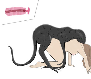 bestiality bite breasts doggystyle duo female feral feral_penetrating feral_penetrating_human from_behind_position human_on_feral human_penetrated internal internal_vaginal interspecies male male/female neck_bite penetration penile penile_penetration penis_in_vagina sex vaginal vaginal_penetration tintaglia kresh human mammal scalie absurd_res hi_res