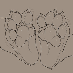 4_toes ambiguous_gender anthro bodily_fluids claws feet foot_focus pawpads paws soles solo sweat toe_claws toes whyvern 2026 absurd_res hi_res monochrome sketch superabsurd_res