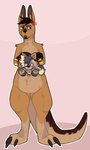 annoyed anthro big_tail blep brown_body brown_fur claws duo fur hair happy in_pouch male nude pouch_(anatomy) smile tail teeth toe_claws tongue tongue_out prickr34 wallabee canid canine canis domestic_dog kangaroo macropod mammal marsupial shiba_inu spitz 3:5 hi_res