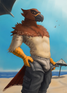 anthro beach beach_umbrella beak biped bottomwear brown_body brown_feathers bulge claws clothed clothing day detailed_background detailed_bulge feathers feet genital_outline looking_at_viewer male male_anthro open_bottomwear open_clothing open_pants outside pants parasol penis_outline sand scuted_arms scutes sea seaside seductive sky smile solo standing tail tail_feathers talons tan_body tan_feathers text toes topless topless_male umbrella underwear unzipped unzipped_pants water zipper reku_illustration accipitrid accipitriform avian bird eagle gull lari larid absurd_res digital_media_(artwork) hi_res