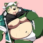 anthro belly briefs bulge clothing electronics fur green_body green_fur headphones headphones_around_neck male moobs navel nipples overweight overweight_anthro overweight_male shirt solo tighty_whities topwear underwear white_briefs white_clothing white_underwear bearlovestiger13 lifewonders live_a_hero mokdai canid canine canis domestic_dog mammal 2021 hi_res