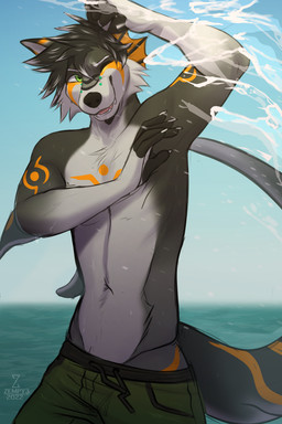 anthro beach bridge_piercing clothing ear_fins facial_piercing fin male markings membrane_(anatomy) nose_piercing orange_markings piercing sea shark_fin shark_tail solo splash swimwear water webbed_hands zempy3 rick_marks canid canine fish fox hybrid mammal marine shark 2:3 absurd_res hi_res