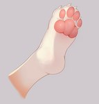 2022 4_toes ambiguous_gender ambiguous_species barefoot claws compression_artifacts digital_media_(artwork) disembodied_foot feet female_(lore) foot_focus foot_shot fur grey_background hindpaw leg_markings mammal markings multicolored_body multicolored_fur nana_(whooo-ya) pawpads paws pink_pawpads simple_background socks_(marking) soles solo tan_body tan_fur toe_claws toes two_tone_body two_tone_fur white_body white_fur whooo-ya