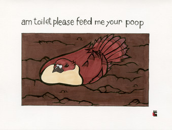 ambiguous_gender beak black_beak border brown_body brown_feathers dipstick_tail_feathers feathered_wings feathers feces feces_on_ground feces_pile feral scatplay sitting_in_feces solo tail tail_feathers tan_body tan_feathers text white_border wings sewercroc avian bird columbid pigeon 2022 dated english_text hi_res meme signature traditional_media_(artwork) male_(lore)