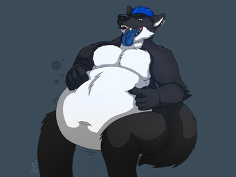 5_fingers after_vore anthro belly big_belly black_body black_eyebrows black_fur black_nose blue_hair blue_tongue deep_navel ear_piercing eyebrows fingers fur green_eyes grey_background hair male moobs multicolored_body multicolored_fur navel obese obese_anthro obese_male overweight overweight_anthro overweight_male piercing sharp_teeth simple_background sitting solo tail teeth tongue tongue_out vore xilver_(artist) xilver canid canine canis mammal wolf 4:3 hi_res shaded