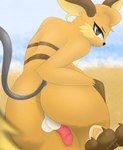 anthro balls beach bedroom_eyes butt femboy fur genitals looking_at_viewer looking_back male narrowed_eyes orange_body orange_fur paws penis rear_view seaside seductive solo water khanyvor nintendo pokemon generation_1_pokemon mammal pokemon_(species) raichu rodent 2021 absurd_res hi_res