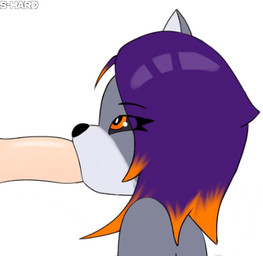 anthro anthro_penetrated black_eyes bodily_fluids duo fellatio female female_on_human female_penetrated genitals grey_body hair human_penetrating_female male male/female male_penetrating male_penetrating_female multicolored_body multicolored_hair oral oral_penetration orange_eyes orange_hair penetration penile penile_penetration penis penis_in_mouth purple_hair saliva saliva_on_penis sex simple_background text two_tone_body two_tone_hair s-hard becky_(s-hard) domestic_cat felid feline felis human mammal 2026 2d_animation animated artist_name digital_media_(artwork) low_res